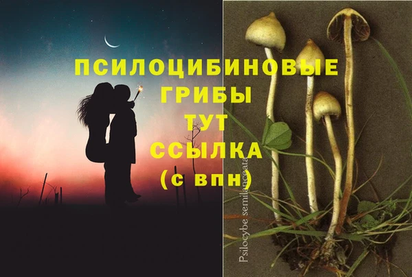эйфоретик Абинск