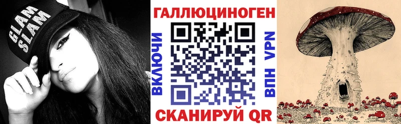 купить наркотик  Киржач  Псилоцибиновые грибы Psilocybe 